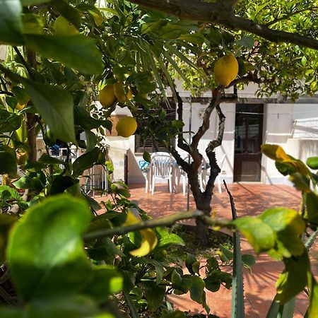 Casa Ciccio San Vito Lo Capo Exterior foto