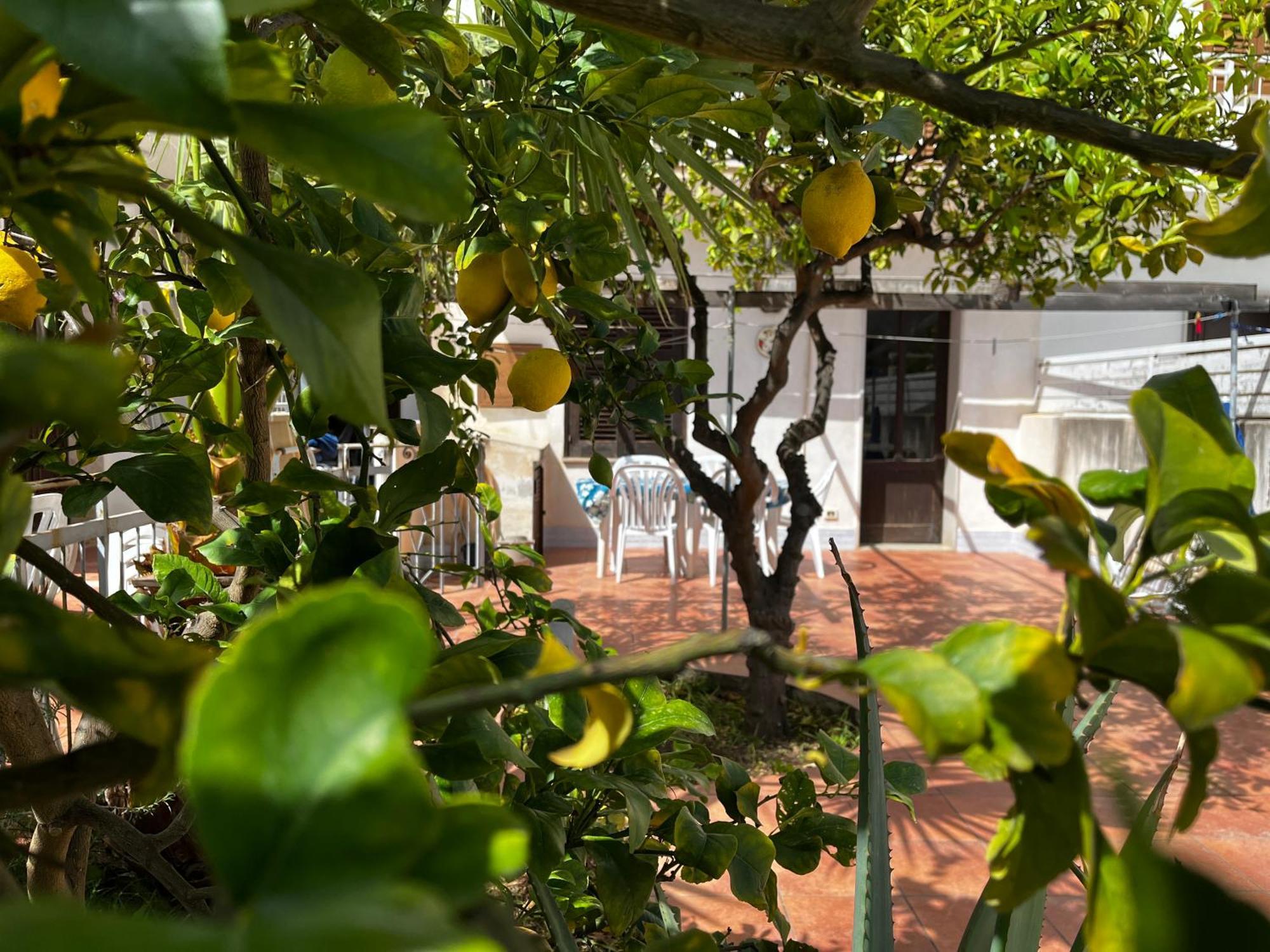 Casa Ciccio San Vito Lo Capo Exterior foto
